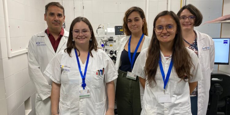 El Hospital Universitario La Candelaria descubre una nueva proteína implicada en la reparación del ADN dañado