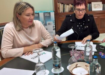 El Gobierno forma a 33 profesionales de la Palma para agilizar las valoraciones del grado de discapacidad