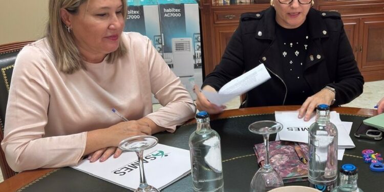 El Gobierno forma a 33 profesionales de la Palma para agilizar las valoraciones del grado de discapacidad