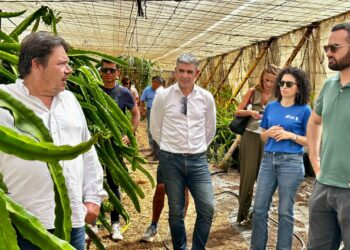 Agricultores de El Hierro valoran implementar el cultivo de pitaya en La Frontera