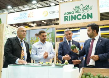 Canarias triplicó los envíos de aguacate al mercado peninsular y extranjero en 2024