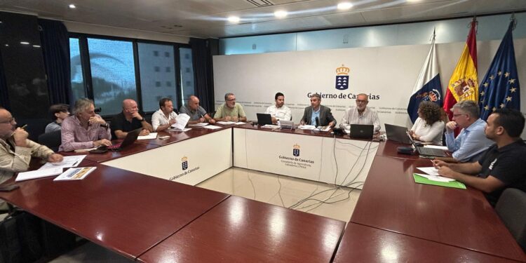 Un Comité Científico-Técnico asesorará a administraciones y al sector para la erradicación de la filoxera