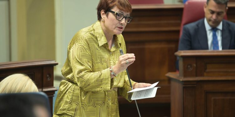 Bienestar Social mejora el modelo de subvenciones que ahora es “más rápido, transparente y estable