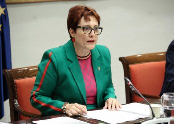 Delgado presenta a los cabildos el nuevo decreto que moderniza y agiliza el reconocimiento de la discapacidad