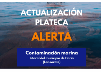 El Gobierno de Canarias actualiza la situación y eleva a alerta el PLATECA por contaminación marina en Lanzarote