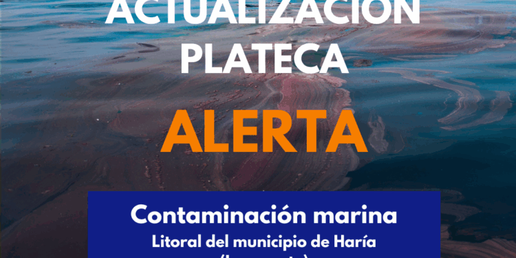 El Gobierno de Canarias actualiza la situación y eleva a alerta el PLATECA por contaminación marina en Lanzarote