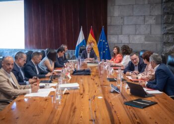 El Gobierno avanza la tramitación de dos instalaciones de emergencia en Tenerife para evitar apagones