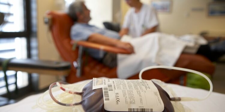 Sanidad insta a registrarse como donante de médula ósea para aumentar opciones de compatibilidad ante un trasplante