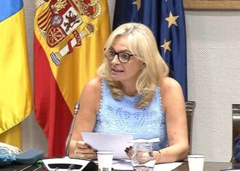 El SCS incorporará nuevos paneles de información al Visor de Historia Clínica Unificada