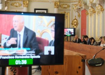 Francisco Hernández Spínola, concejal del Ayuntamiento de Las Palmas de Gran Canaria