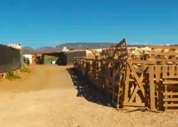 La Diputación del Común estudiará el desalojo del asentamiento de Cueva Laya