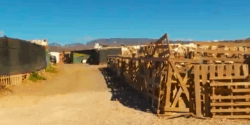 La Diputación del Común estudiará el desalojo del asentamiento de Cueva Laya