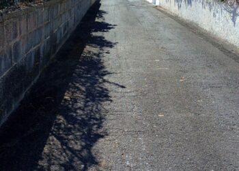 Limpieza viaria y desbroce en Santa Úrsula (2)