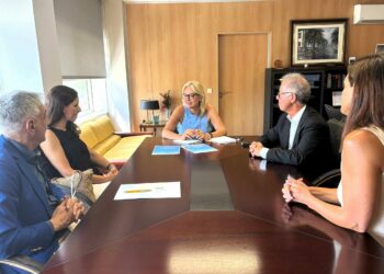 Monzón mantiene sendas reuniones con los Colegios Oficiales de Enfermería y de Psicología de Las Palmas