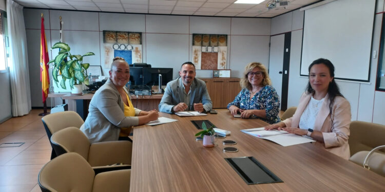 El director del SCS se reúne con el Colegio de Enfermería de Santa Cruz de Tenerife