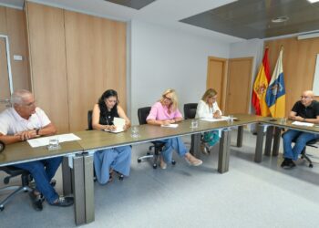 Sanidad se reúne con la Plataforma por la Estrategia de Enfermedades Raras de Canarias