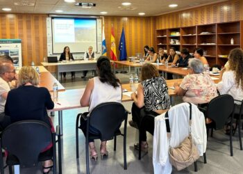 El Área de Salud de La Gomera celebra la reunión del Consejo de Salud