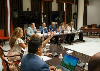 Respaldo de cinco cabildos al decreto de Discapacidad, sobre el que el PSOE se abstiene