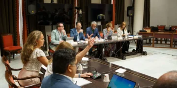 Respaldo de cinco cabildos al decreto de Discapacidad, sobre el que el PSOE se abstiene