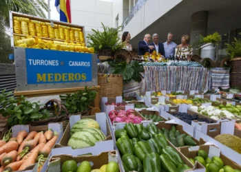 La carreta del Cabildo de Gran Canaria en romería del Pino, diseñada para llevar el máximo de solidaridad