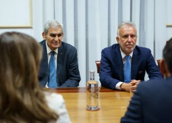 Torres dice que las críticas de Clavijo a Vox no son creíbles porque gobierna con ellos en tres municipios