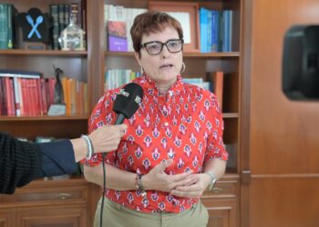 El Estado plantea aplicar el Real Decreto para trasladar desde Canarias a los menores con protección internacional