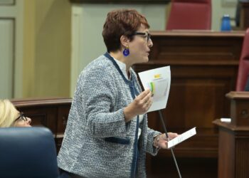 Delgado muestra en el Parlamento el rotundo avance de la dependencia impulsado por el nuevo decreto