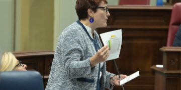 Delgado muestra en el Parlamento el rotundo avance de la dependencia impulsado por el nuevo decreto