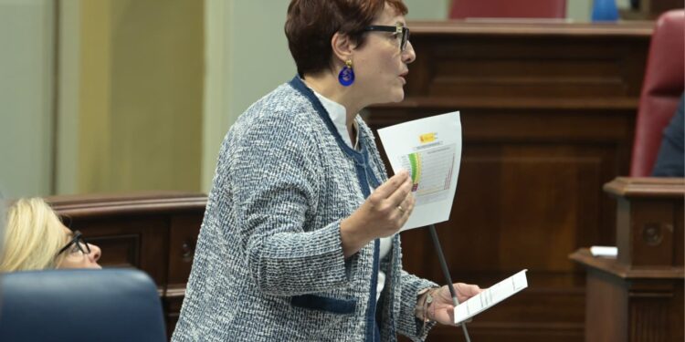 Delgado muestra en el Parlamento el rotundo avance de la dependencia impulsado por el nuevo decreto