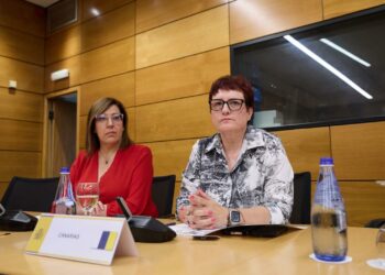 Canarias completa el envío de trescientos expedientes mientras espera que se inicie la derivación de menore