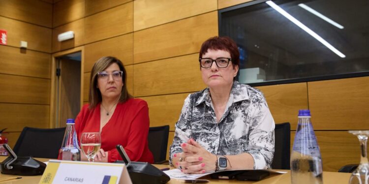 Canarias completa el envío de trescientos expedientes mientras espera que se inicie la derivación de menore