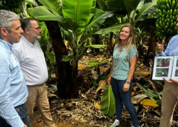 Quintero y Suárez destacan el atractivo turístico e interés educativo del sector primario de la finca La Rekompensa