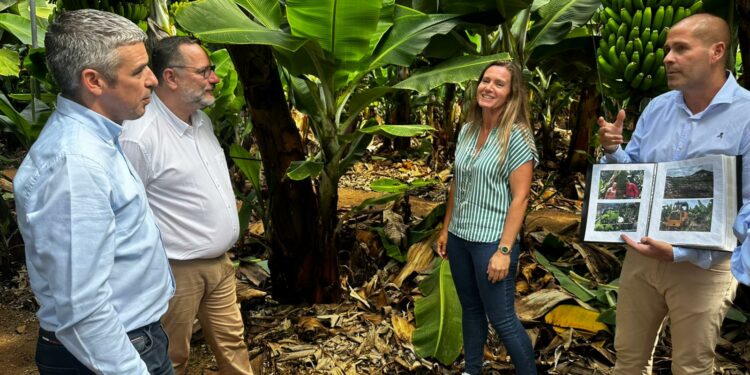 Quintero y Suárez destacan el atractivo turístico e interés educativo del sector primario de la finca La Rekompensa