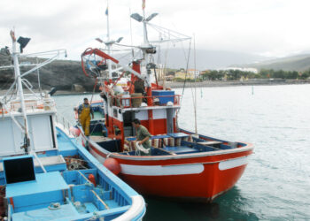 Canarias reitera al Estado que permita el traspaso entre campañas de la cuota sobrante de atún rojo