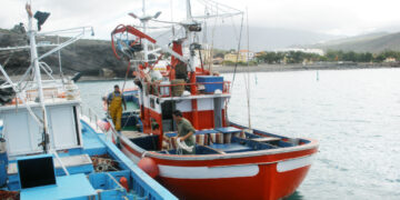 Canarias reitera al Estado que permita el traspaso entre campañas de la cuota sobrante de atún rojo