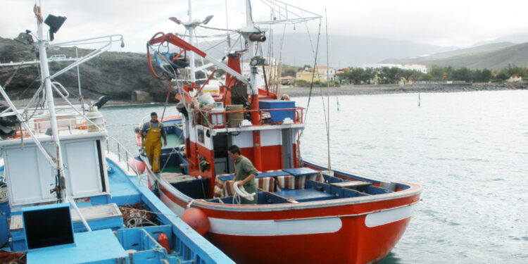 Canarias reitera al Estado que permita el traspaso entre campañas de la cuota sobrante de atún rojo