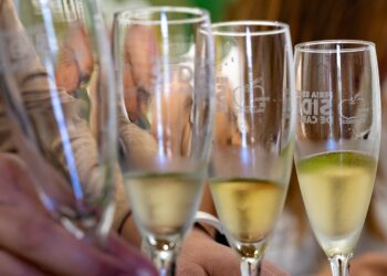 Las sidras canarias logran ocho premios en el concurso internacional SISGA 25, celebrado en Asturias
