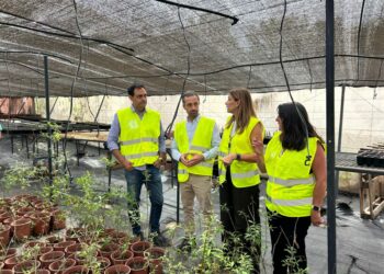 231025. Schallenberg comprueba los avances de la restauración del barranco de Arguineguín, ejemplo de recuperación ambiental 7 (2)