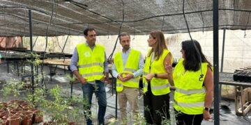 231025. Schallenberg comprueba los avances de la restauración del barranco de Arguineguín, ejemplo de recuperación ambiental 7 (2)