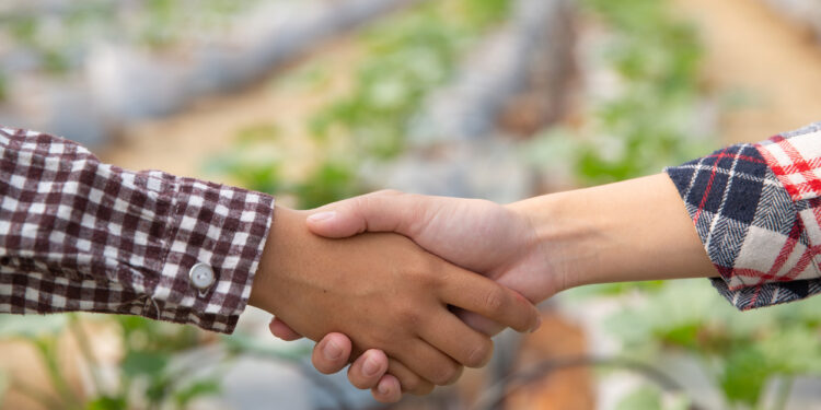 El Gobierno de Canarias destina 350.000 € para apoyar a 14 asociaciones profesionales agrarias sin ánimo de lucro