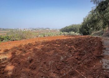 Banco de tierras (1)