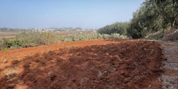 Banco de tierras (1)