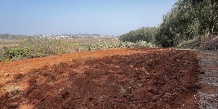 Banco de tierras (1)