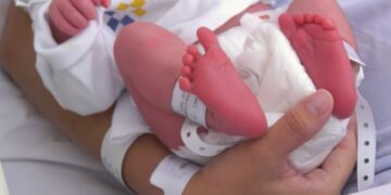 Los hospitales del SCS atendieron un total de 9.523 nacimientos en 2024