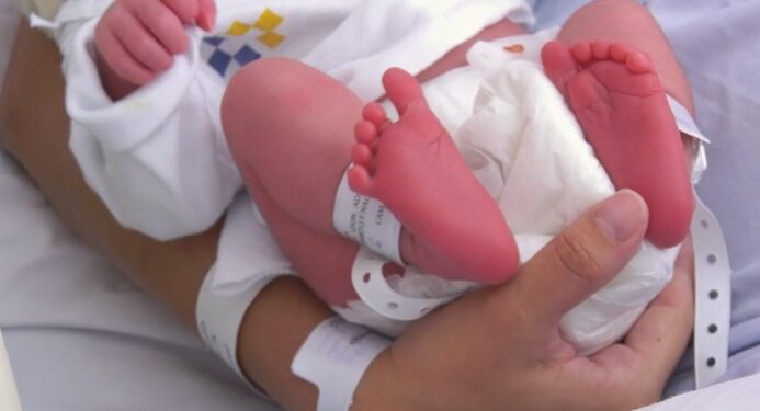 Los hospitales del SCS atendieron un total de 9.523 nacimientos en 2024