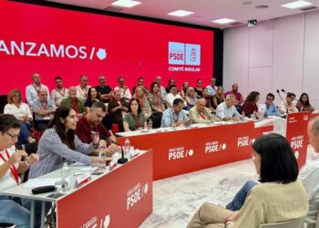 El PSOE de Gran Canaria apuesta por reforzar su estrategia en los municipios