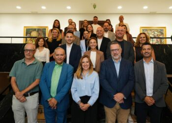 Educación y el Cabildo de Tenerife construirán espacios de sombra en medio centenar de centros del sur de Tenerife