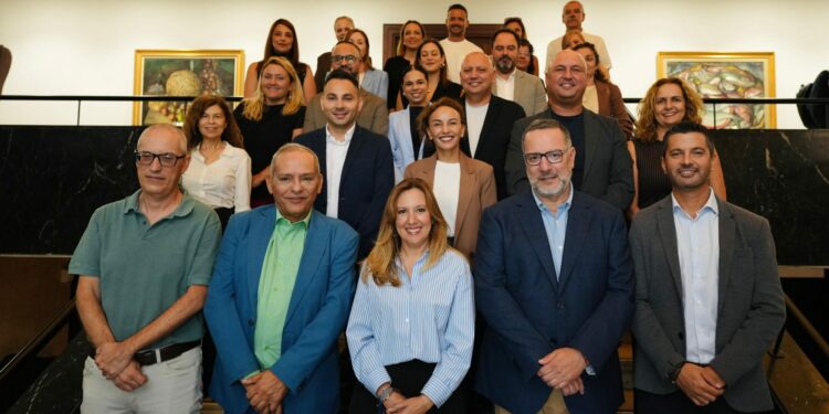 Educación y el Cabildo de Tenerife construirán espacios de sombra en medio centenar de centros del sur de Tenerife