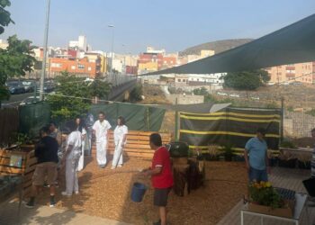 Más de cincuenta pacientes participan en el huerto urbano del Área Externa de Salud Mental del HUC