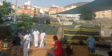 Más de cincuenta pacientes participan en el huerto urbano del Área Externa de Salud Mental del HUC